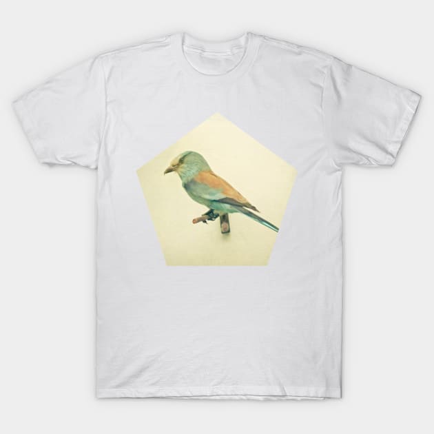 Bird study #2 T-Shirt by Cassia